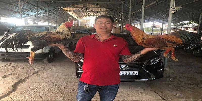 Trại gà Mít Trà Cú vang danh khắp Việt Nam